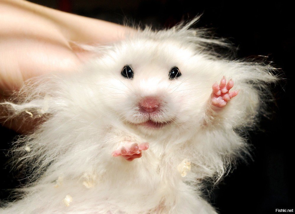 Доброго вам утра