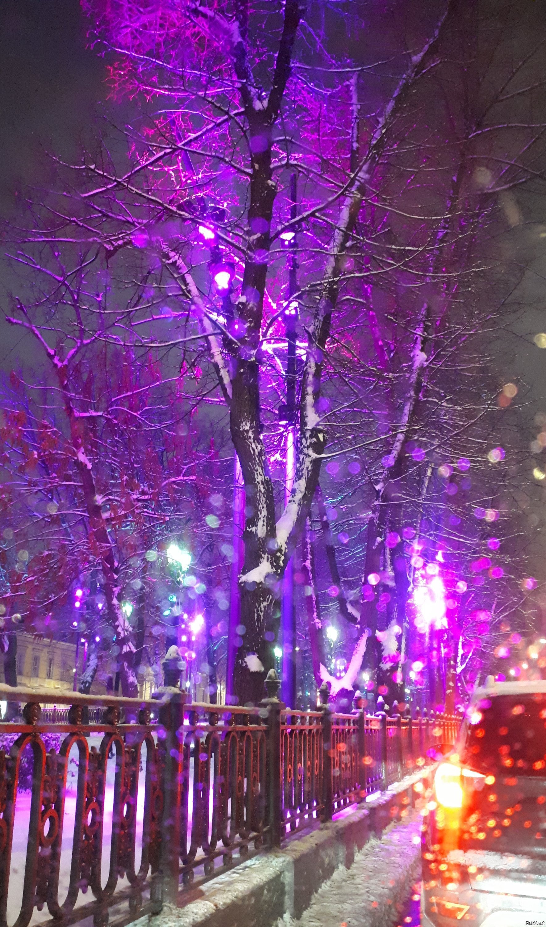 Вчерашняя сказка