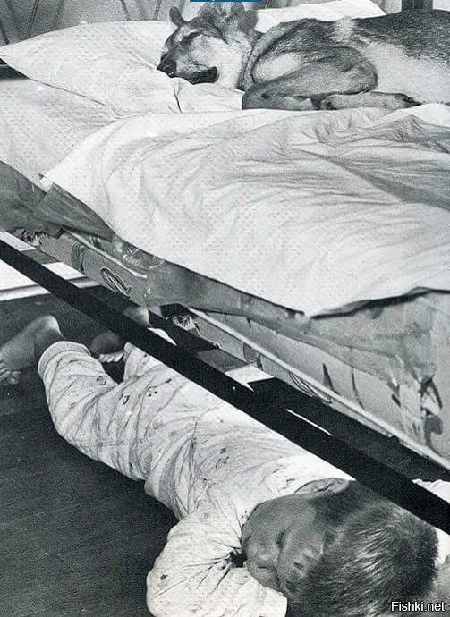 Кто в доме хозяин