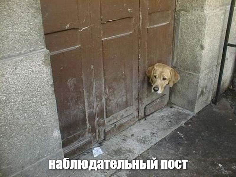 В каком слове я сделал ошибку