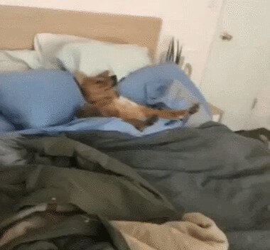 Доброе утро