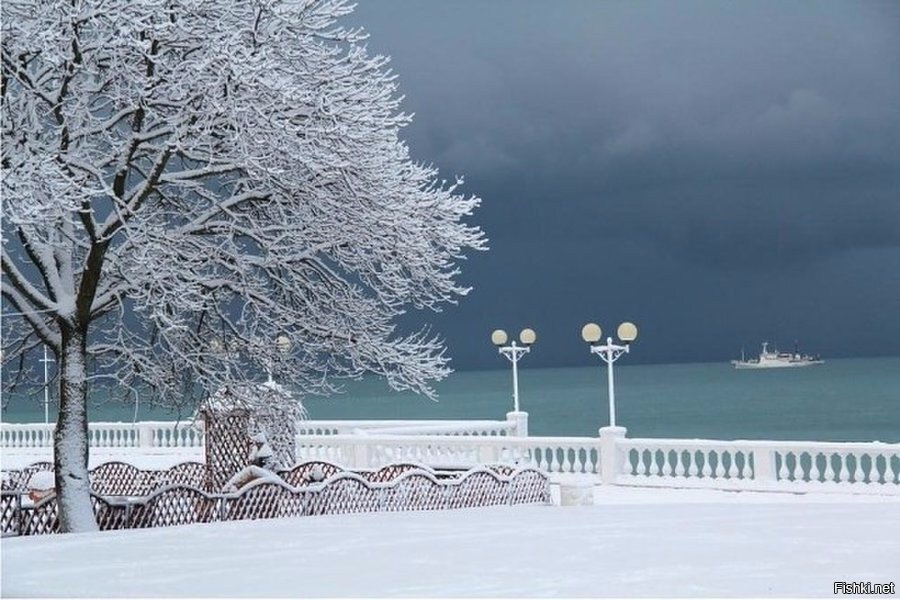 Черное Море