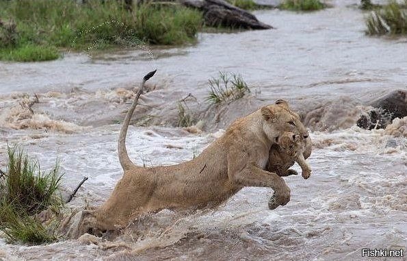 мамы, они такие