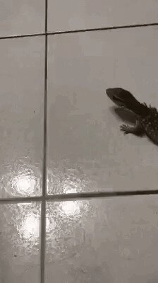 Когда не поменял летнюю резину на зимнюю