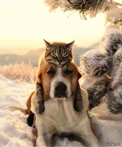 все хотят спаааааать