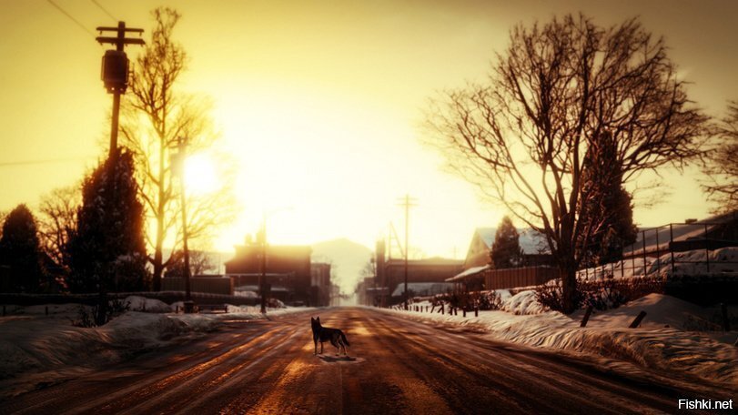 Реальность не предсказуема