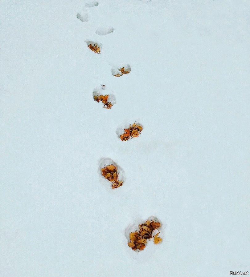 Ничего страшного, она вернется