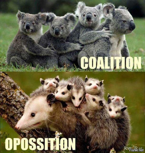 Коалиция и оппозиция