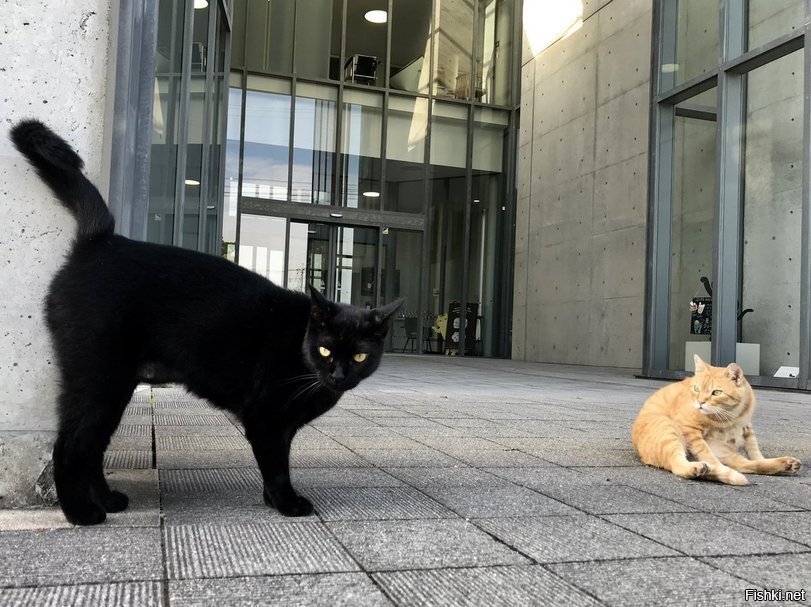 А этих сегодня опять в музей не пустили