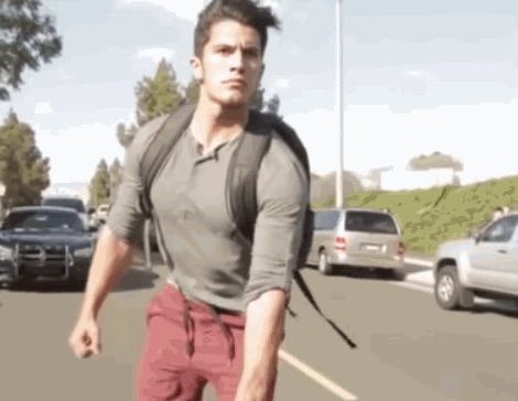 Немного котиков и вперед