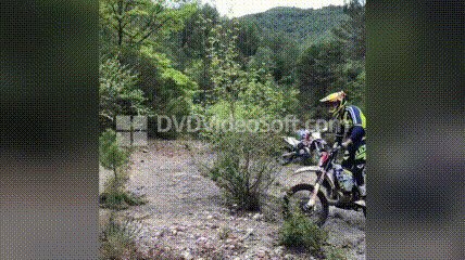 Грация и пластика