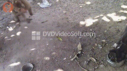 отобрал обед,