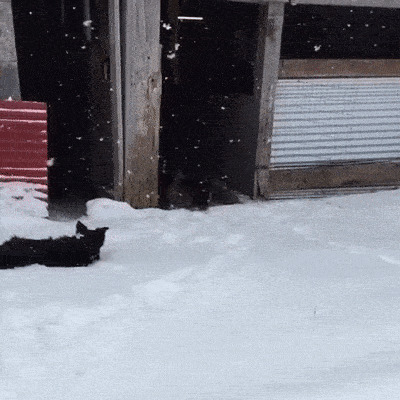 Ну его нафиг такую гулянку