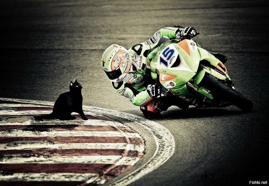 -Мужик, спички есть