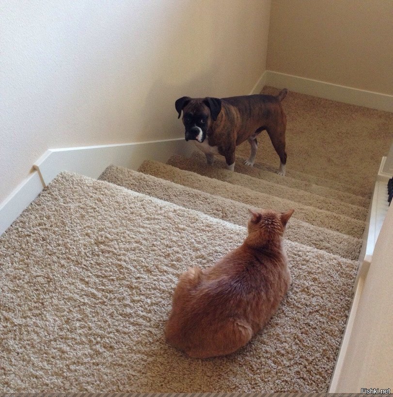 И куда ты собрался