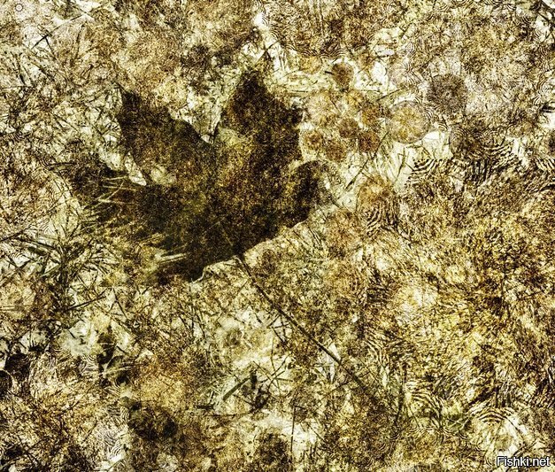 Визуальный художник  Andrew Bret Wallis