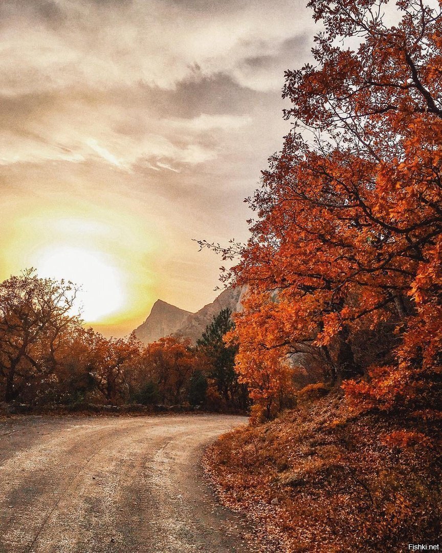 Осень ушла, но мы помним её яркие краски