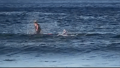 Троллим сёрфера