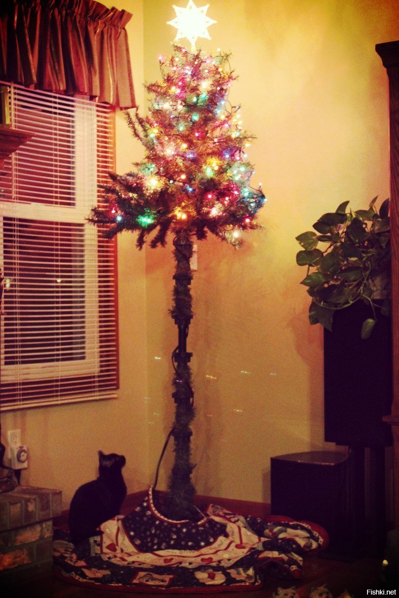 Вот скоты : последней радости лишили