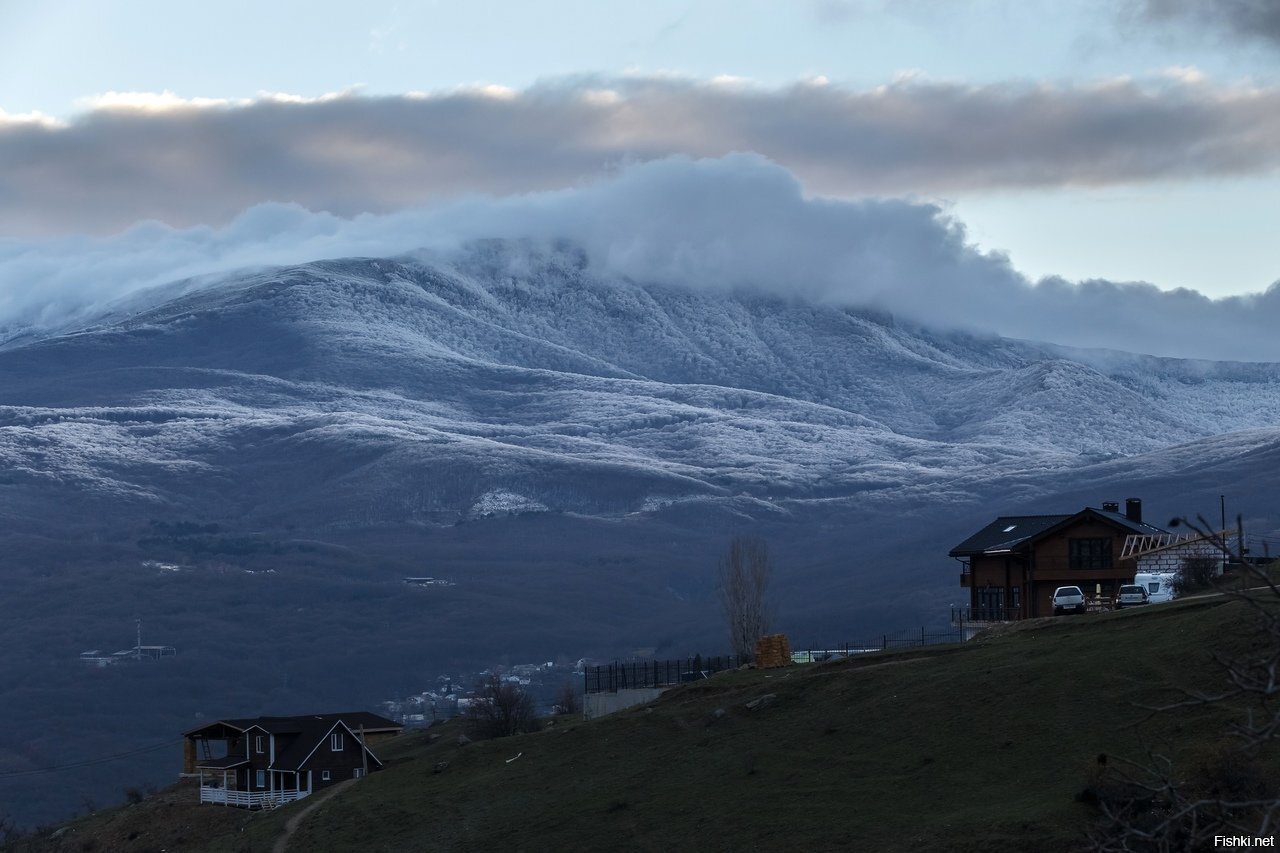 Вот и к нам на Южный берег Крыма пришла зима - г