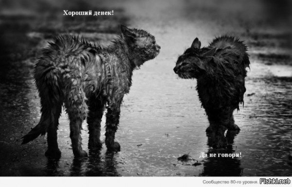 актуально про весь 2018