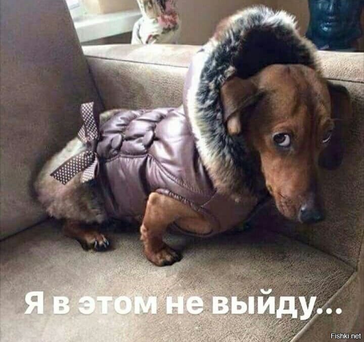 Доброе утро