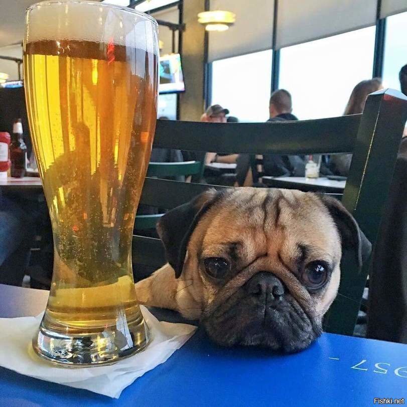 С добрым утром солянка