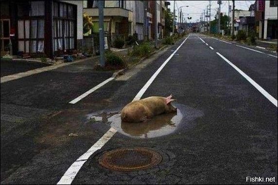 ну, хоть комуто по кайфу