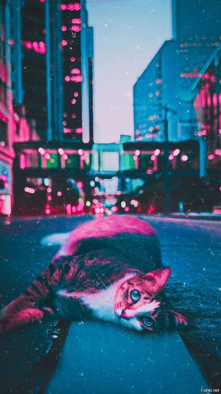 одиночество