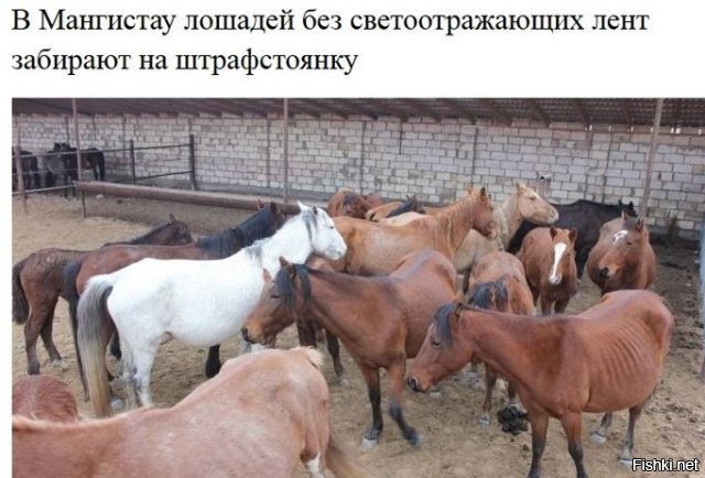 У казахов не забалуешь