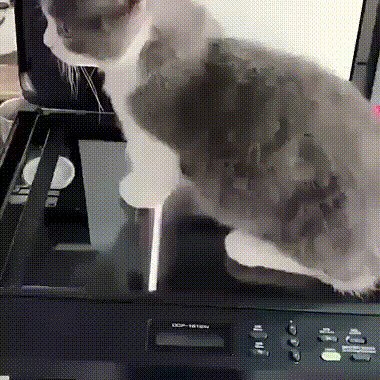 Если девушкам можно, почему мне нельзя