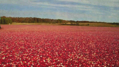 Вот это я понимаю: рассекает