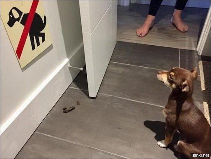 Настало время инструкции