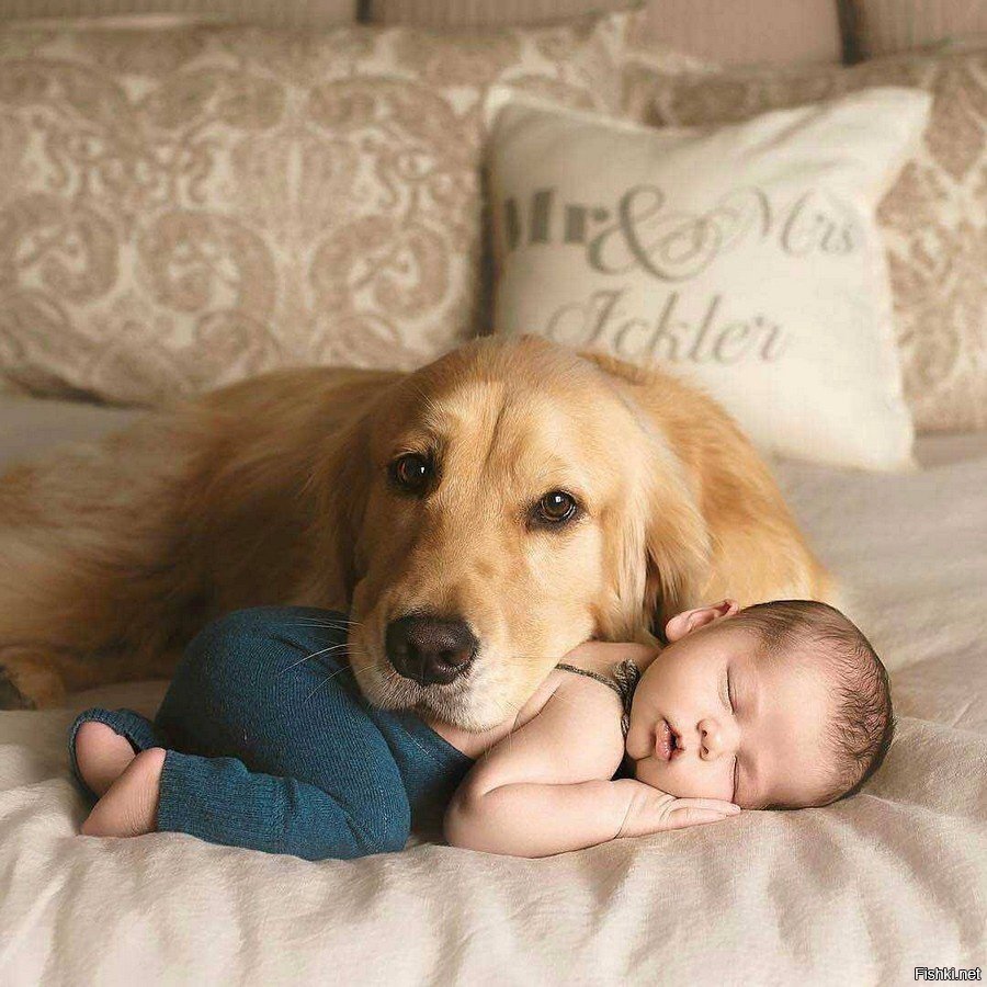 Всем привет