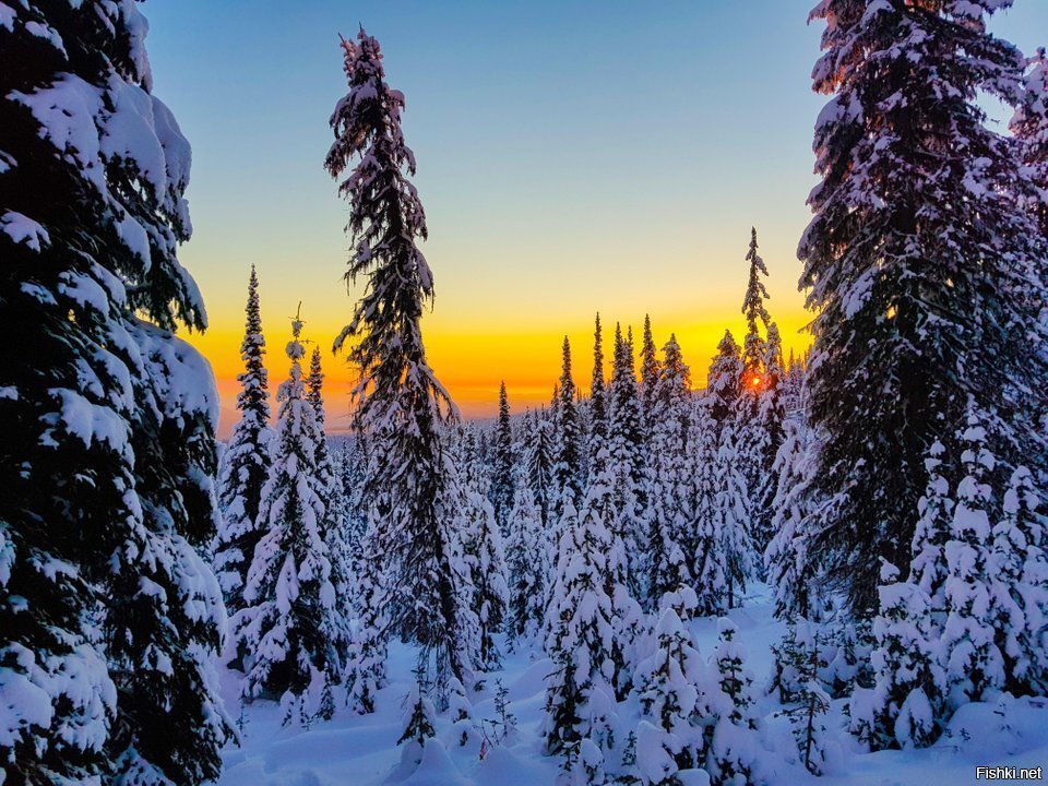 А тем временем в Канаде