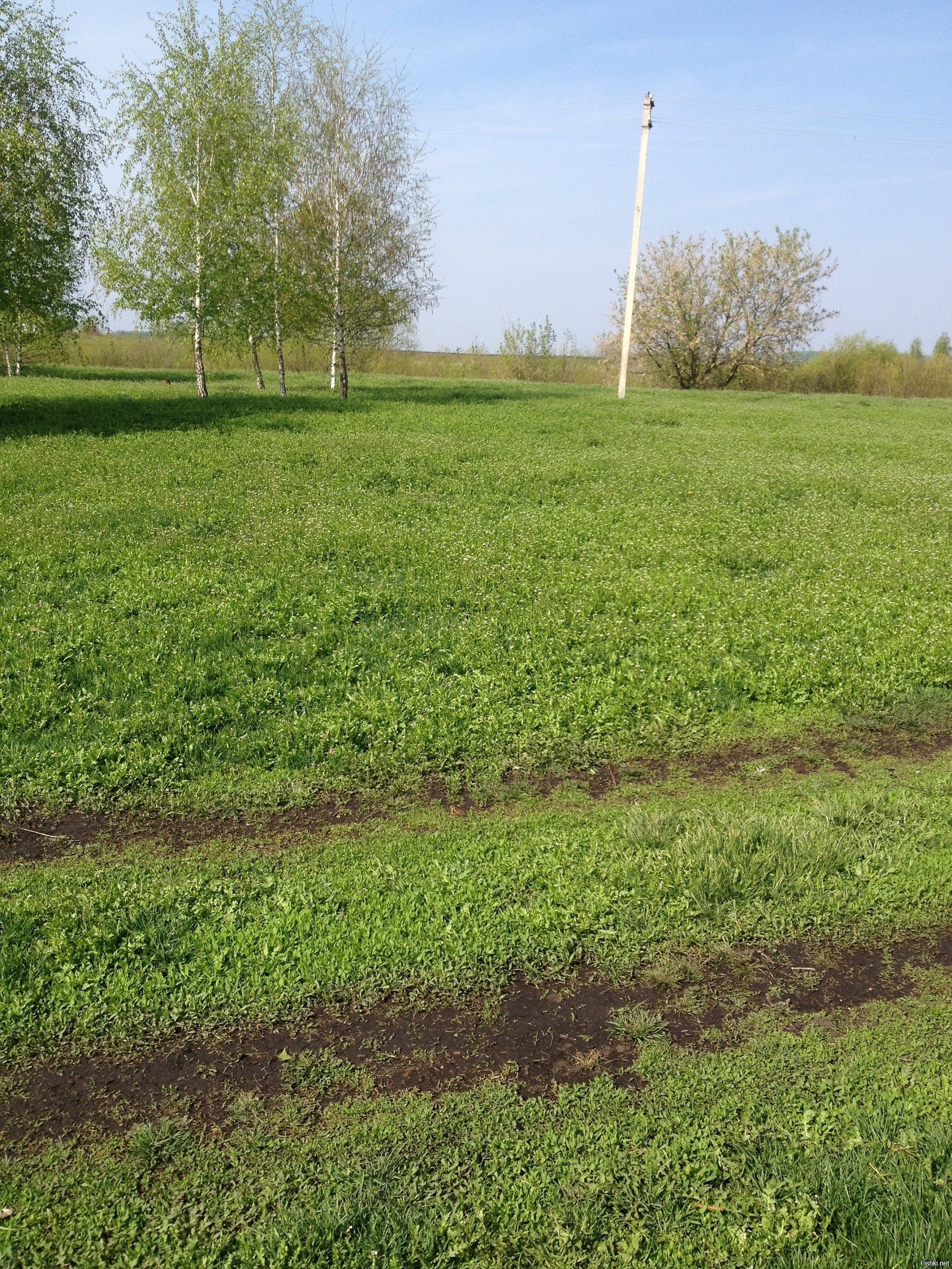 До весны осталось: новый год, 23 февраля, 8 марта