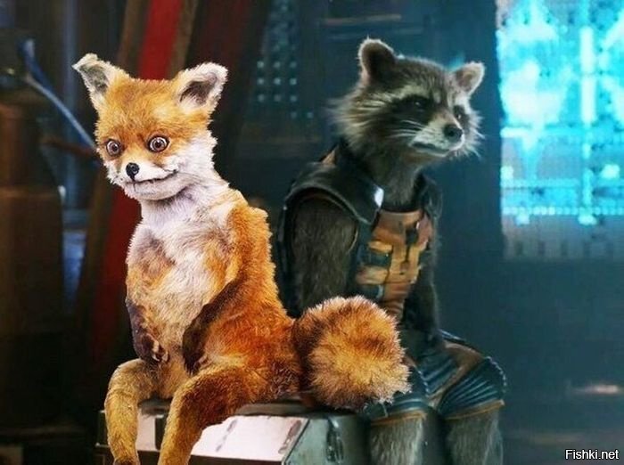 Хорошо сидим