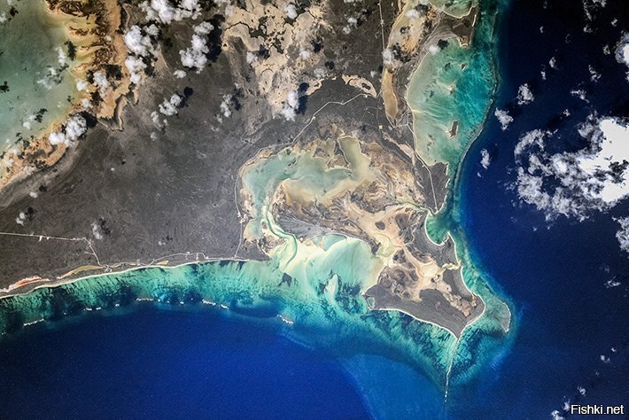 Земля из космоса (из сайта космонавта Олега Артемьева)