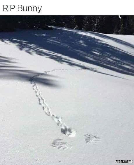 Только благодаря подписи стало понятно, что произошло