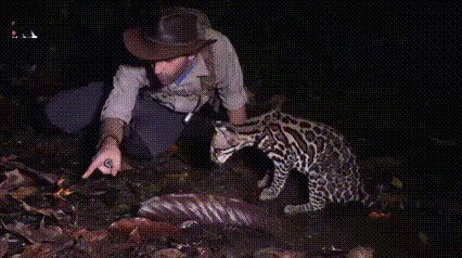 Чот я очкую