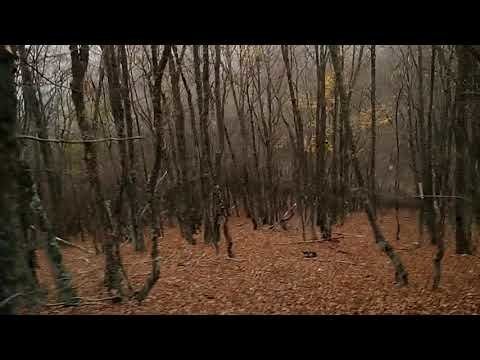 В ноябре прошли пешим порядком по Байдарской яйле (Яйла́ — плоские безлесные ...