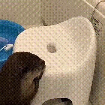 Если ты сам себе интересен, то одиночество тебе не грозит