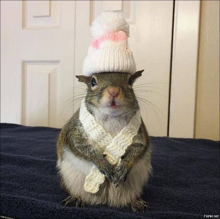 Ну вот такая я