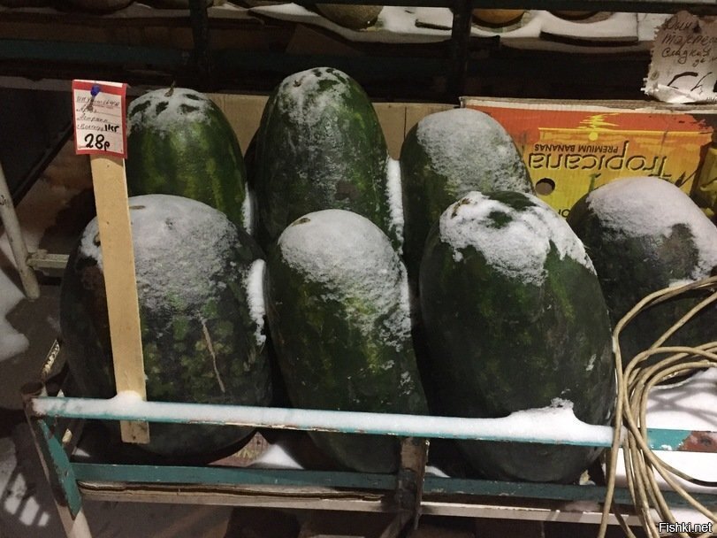 Кстати сорт - "Холодок"