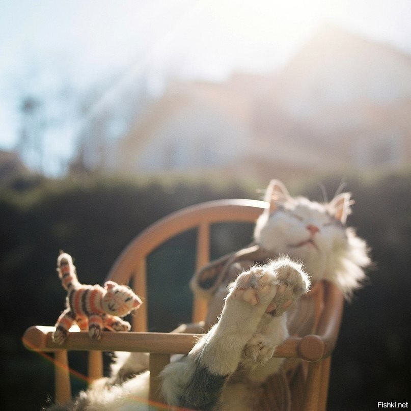 Желаю, чтобы все