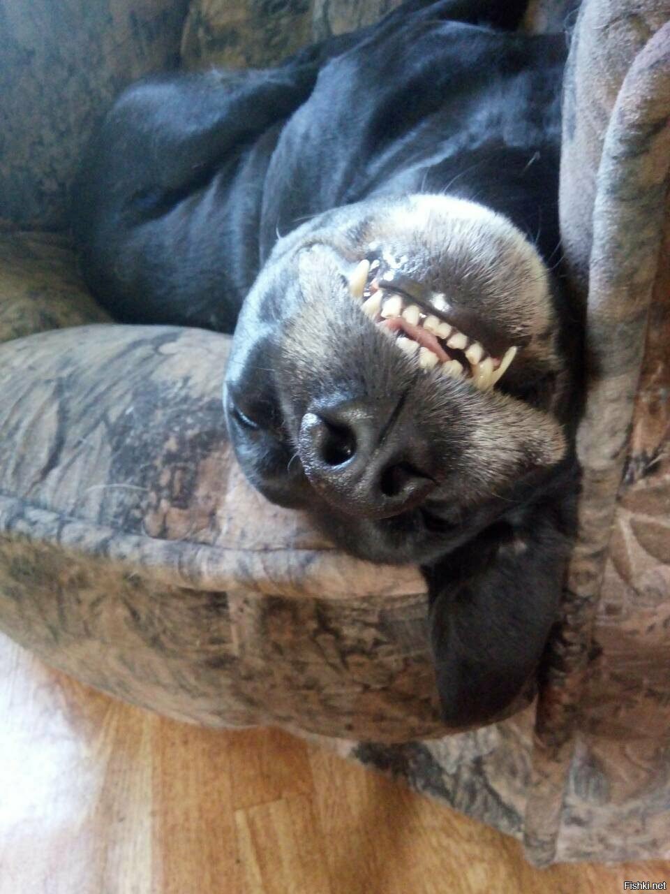 завтра выходной