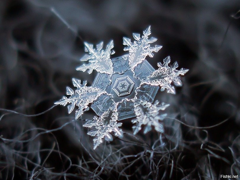 Имперская снежинка