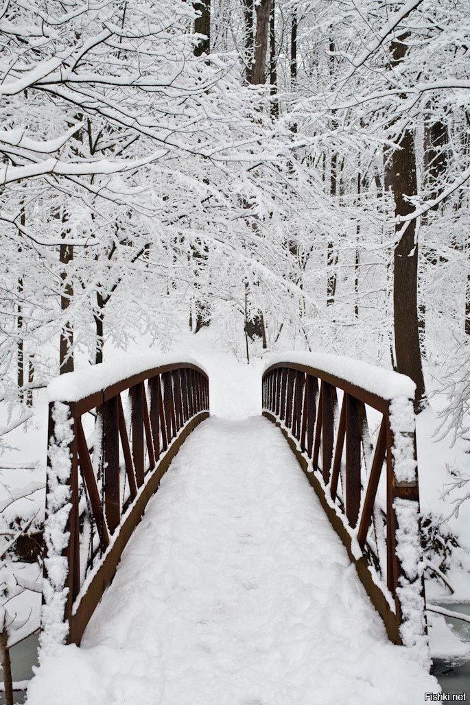 Зимняя Москва