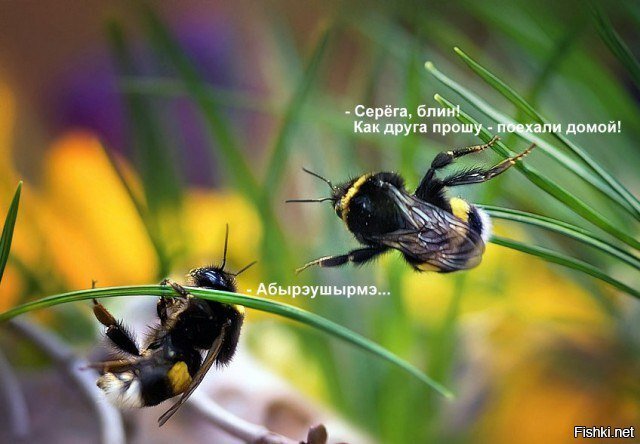 завтржпонедельик