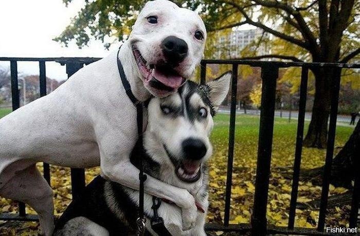 Давай, фоткай быстрее